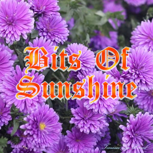 Bits Of Sunshine