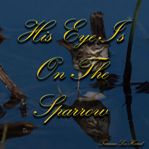 His Eye Is On The Sparrow