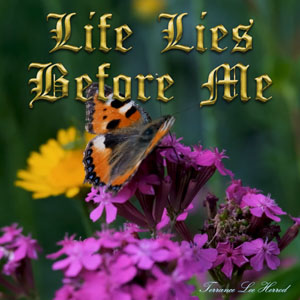 Life Lies Before Me