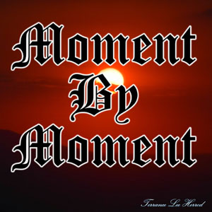 Moment By Moment