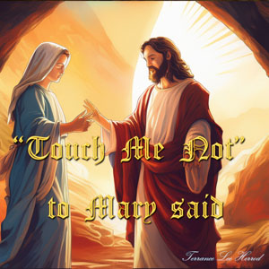 Touch Me Not