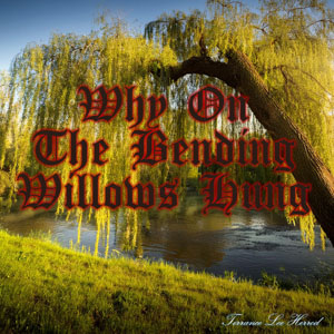 Why On The Bending Willows Hung 2
